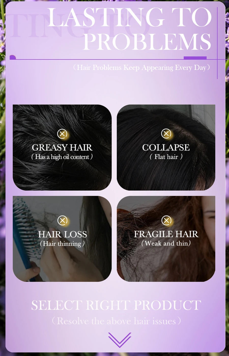Lavender Shampoo Oil Control Refreshing Hair Smooth Oily Scalp Solution No Silicone Oil