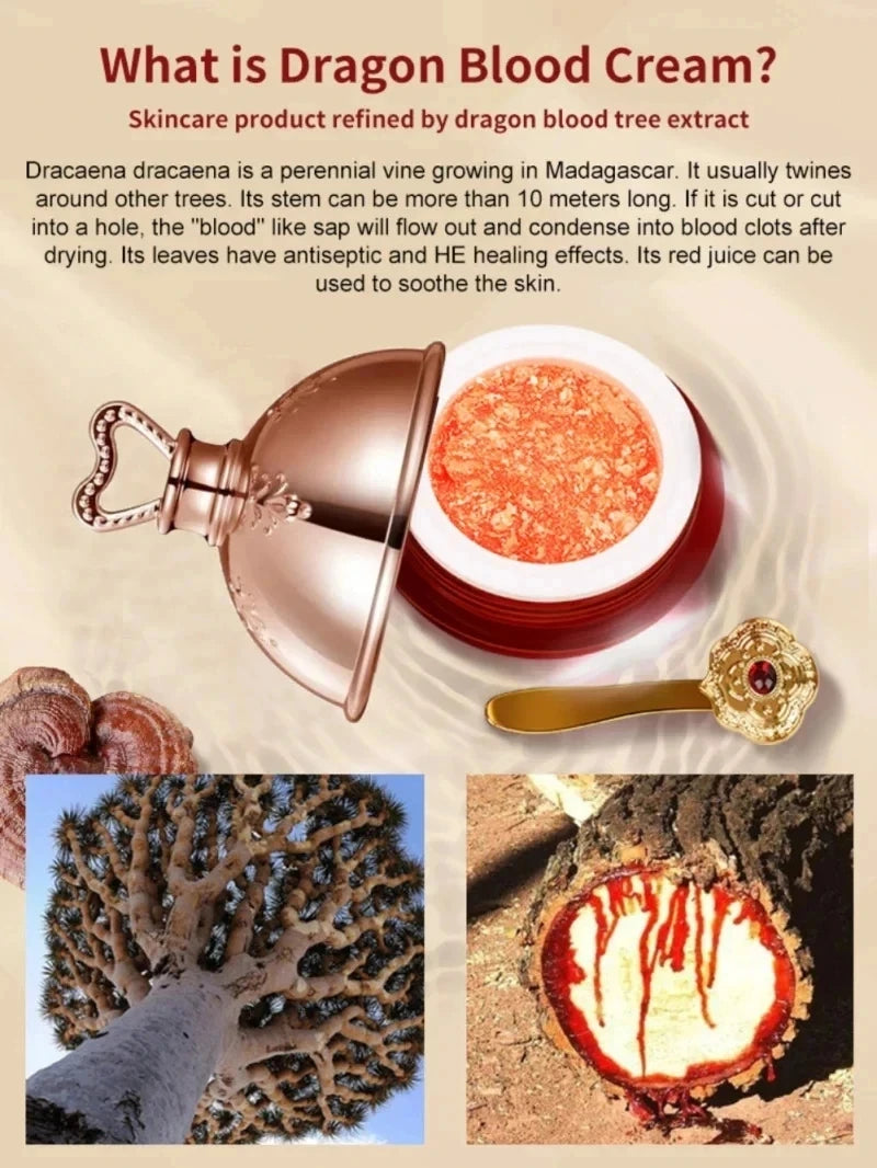 Dragon's Blood Face Cream Retinol Placenta Essence Brightening Lift Firming Skin Care Korean Cosmetics