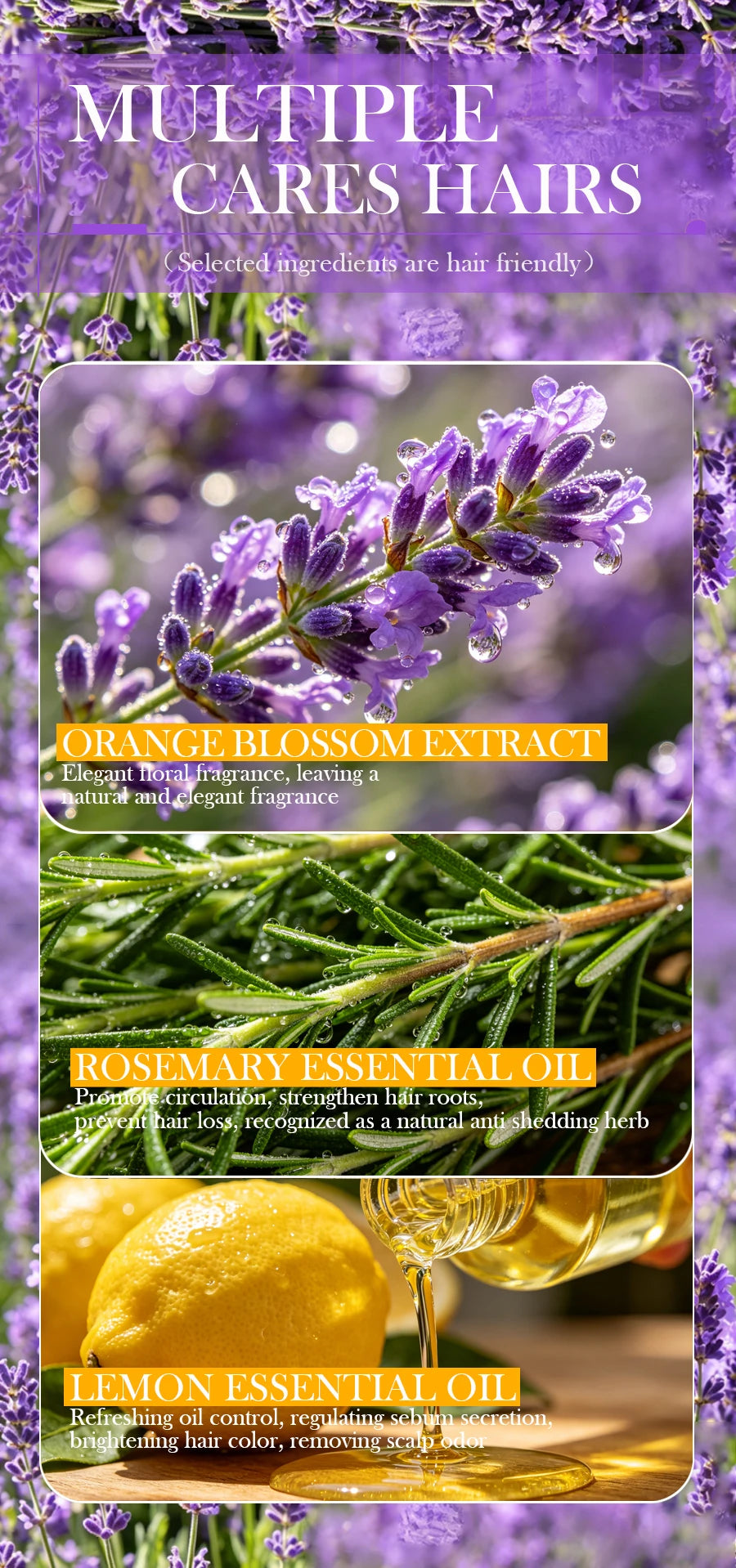 Lavender Shampoo Oil Control Refreshing Hair Smooth Oily Scalp Solution No Silicone Oil