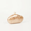 Shell Clutch Bag Acrylic Pearl Color Purse Women Wedding Evening Party Cute Ivory Pearl Coffee Color Handbag New 2024